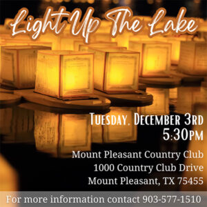 Light Up The Lake banner